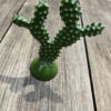 céramique "cactus" XS – Image 3