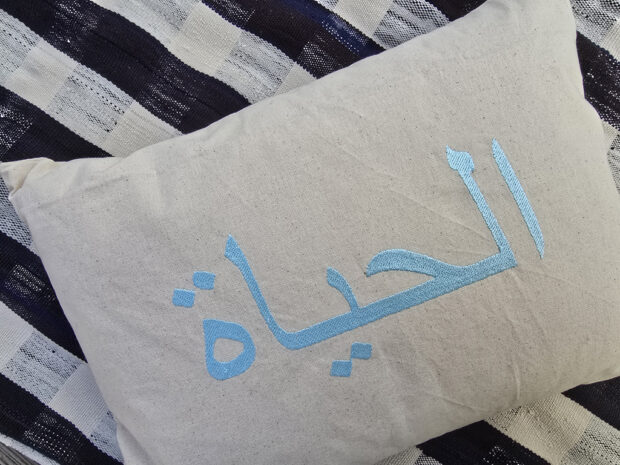 coussin 30 x 40 cm