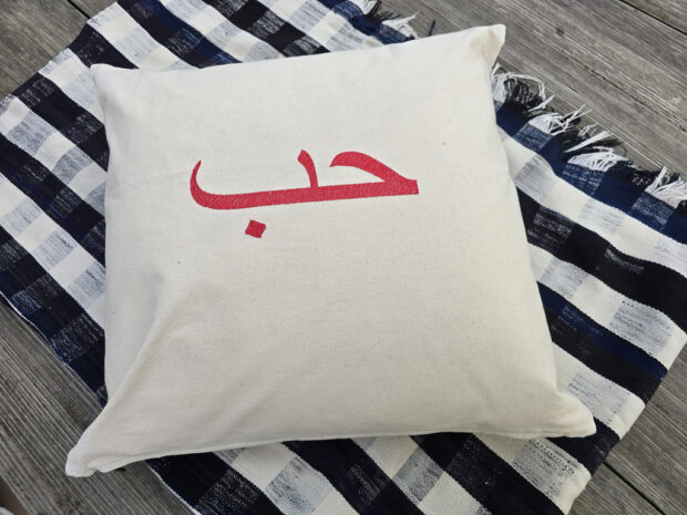 coussin 50 x 50 cm